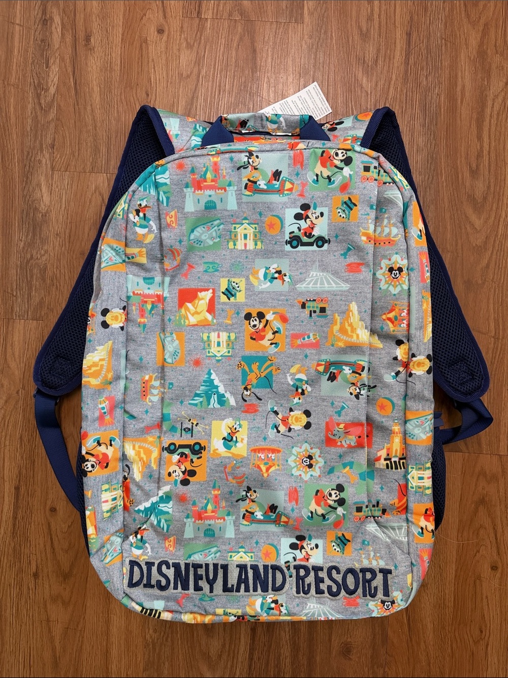 NWT Disneyland Resort Backpack